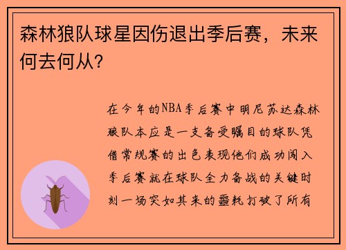 森林狼队球星因伤退出季后赛，未来何去何从？